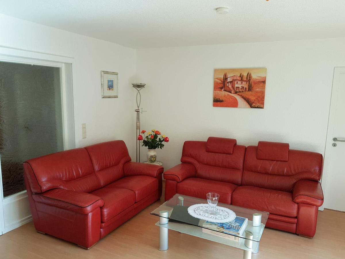 Schweizer Haus Wippra Apartment Ngoại thất bức ảnh